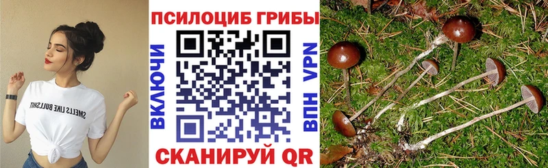 Галлюциногенные грибы Cubensis Мостовской
